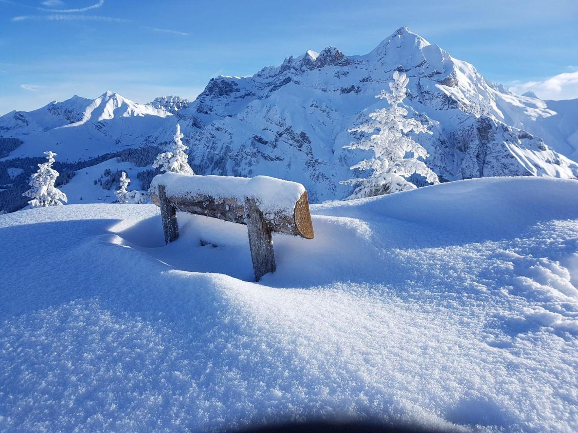 Apartment Laerchehuus By Interhome Adelboden Esterno foto