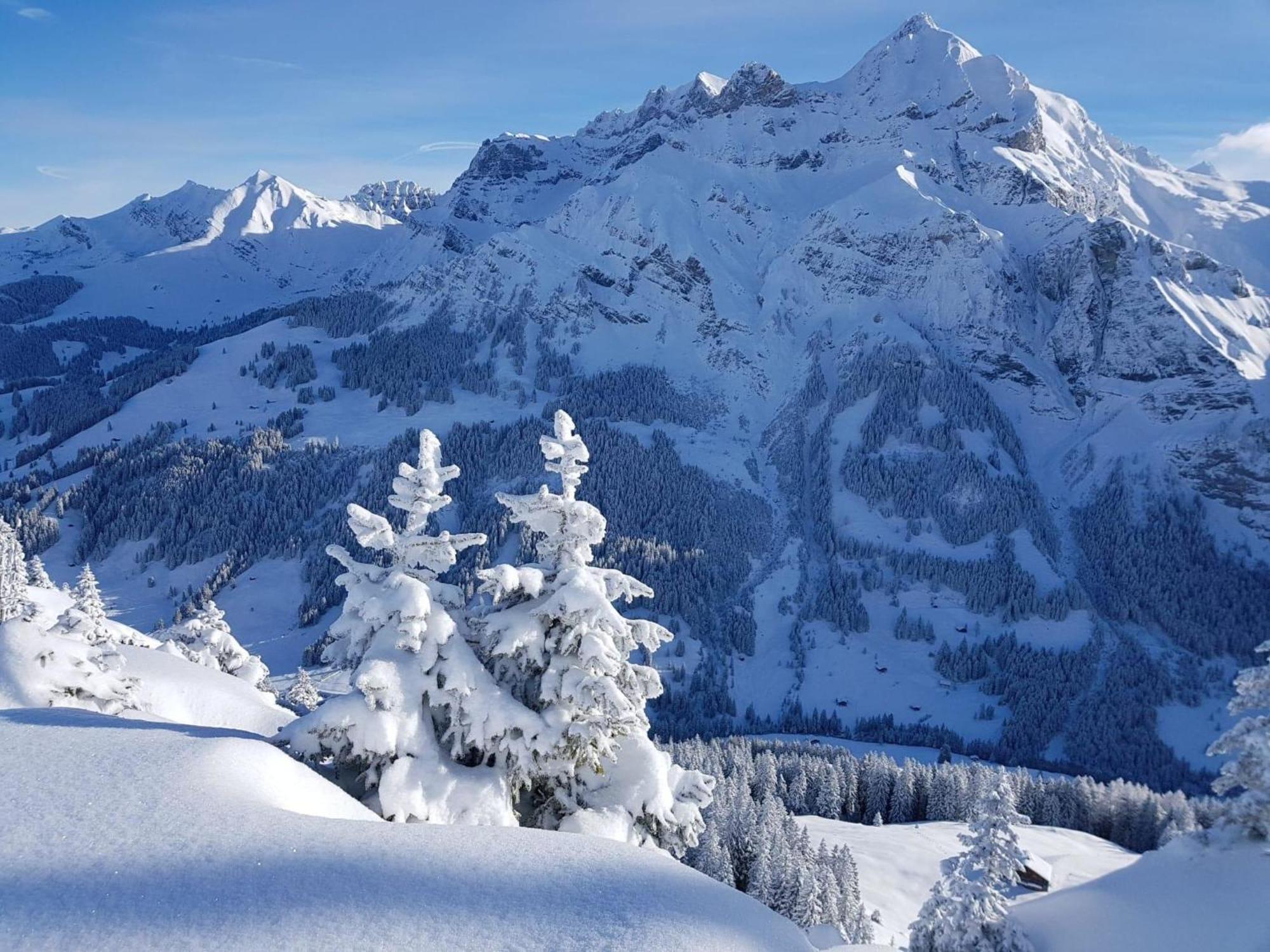 Apartment Laerchehuus By Interhome Adelboden Esterno foto