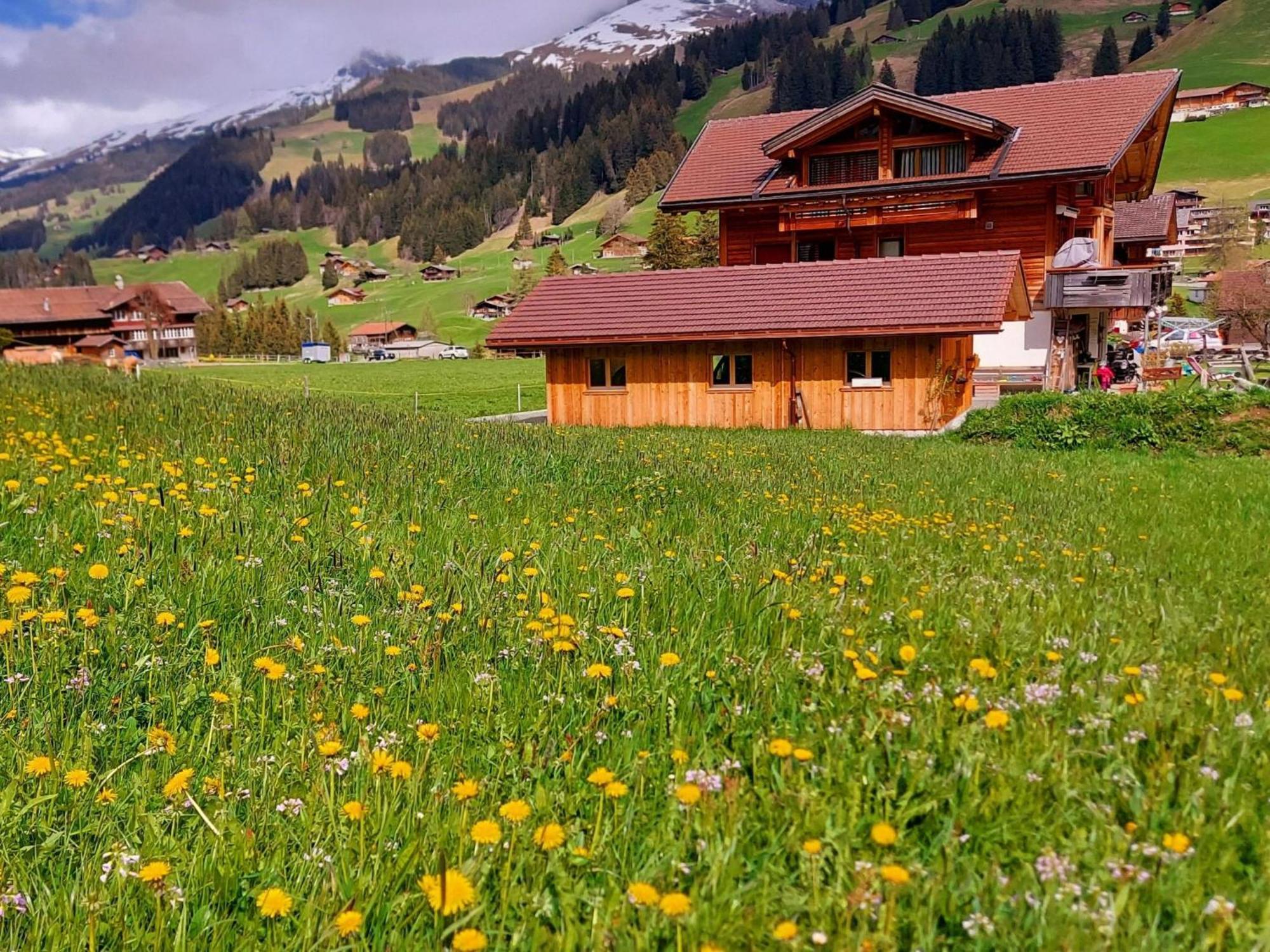 Apartment Laerchehuus By Interhome Adelboden Esterno foto